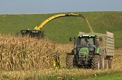 Entwässerung von Silageflächen