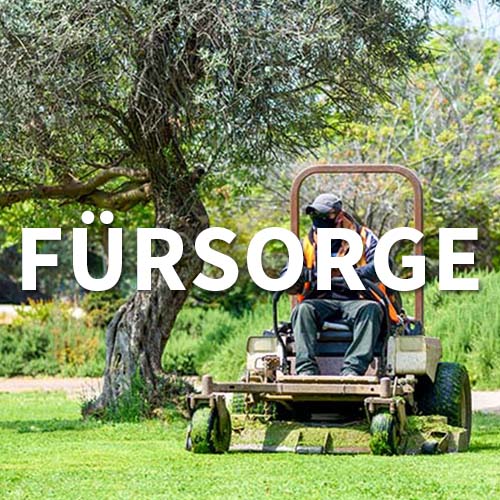 Care – maintenance of the garden facilities
