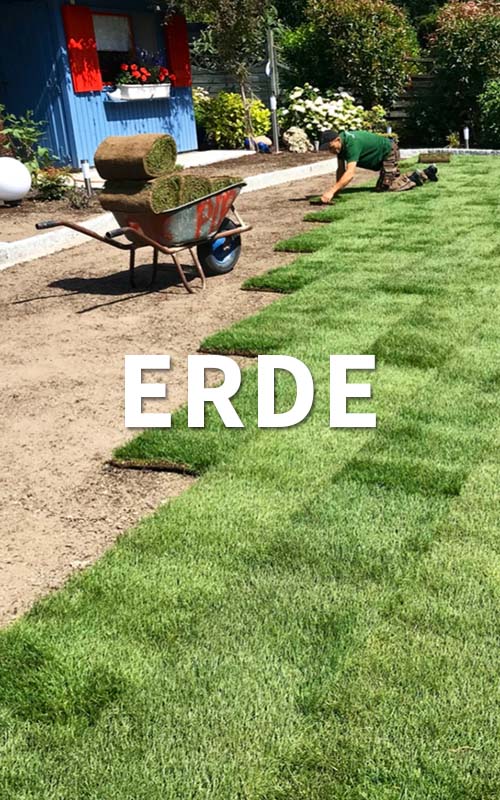 Earth – planting and garden design