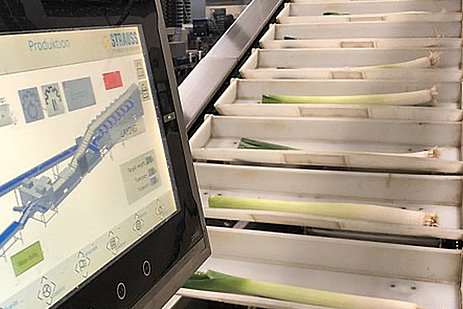 Leek processing