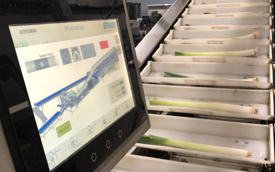 Leek weighing system POW