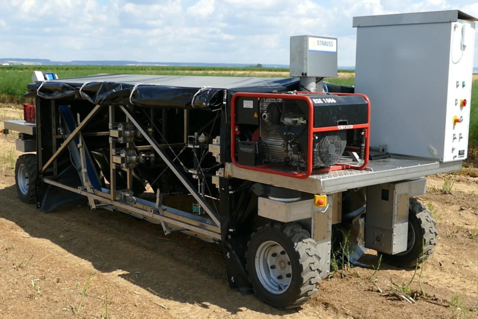 Green asparagus harvester