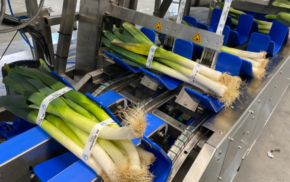 Banding machine for leeks