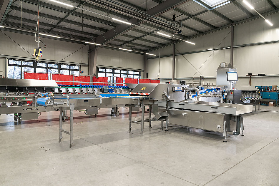 OptiSort G series – optical asparagus sorting system