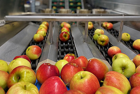 Individual fruit weighing system EW20