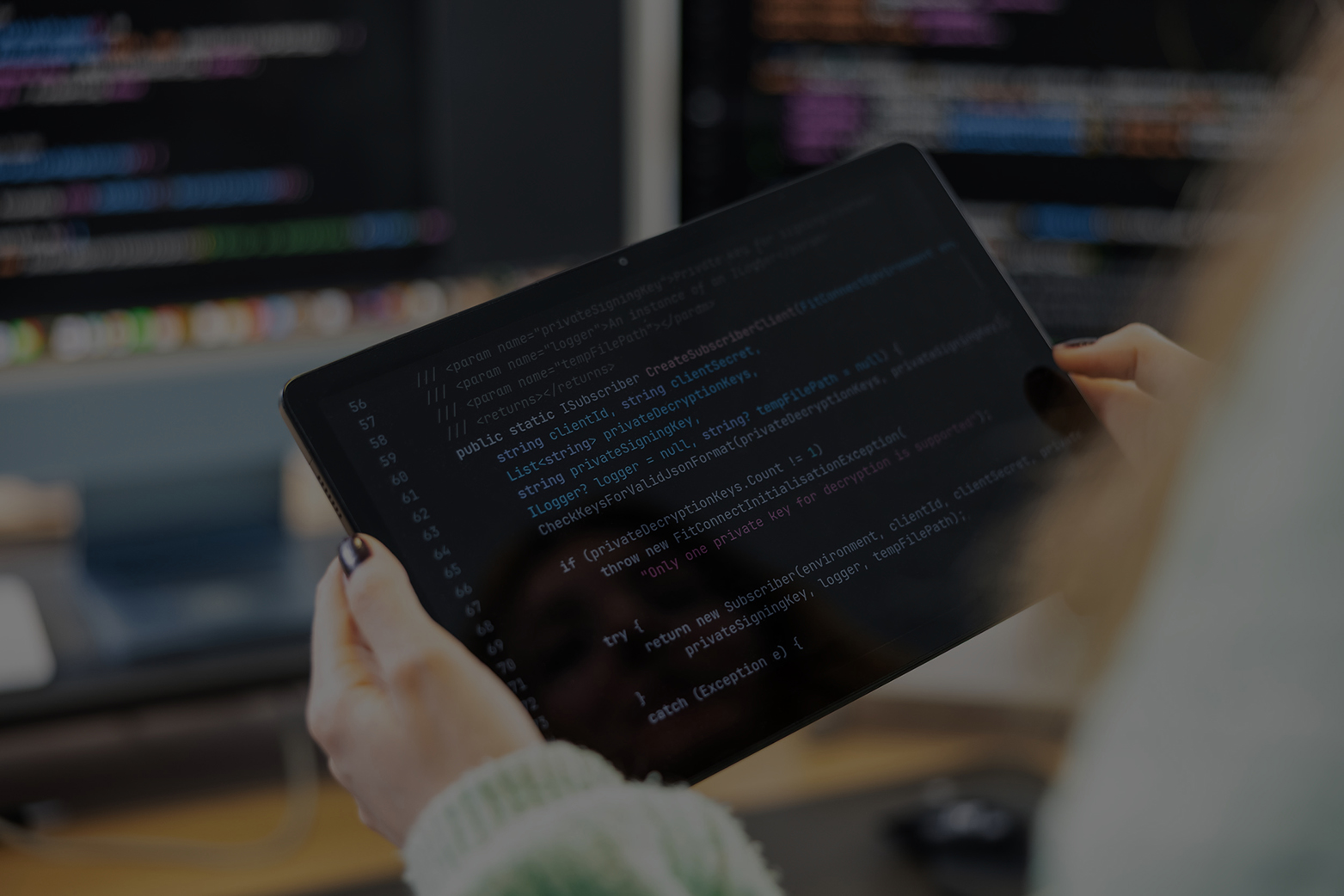 Softwareentwicklung