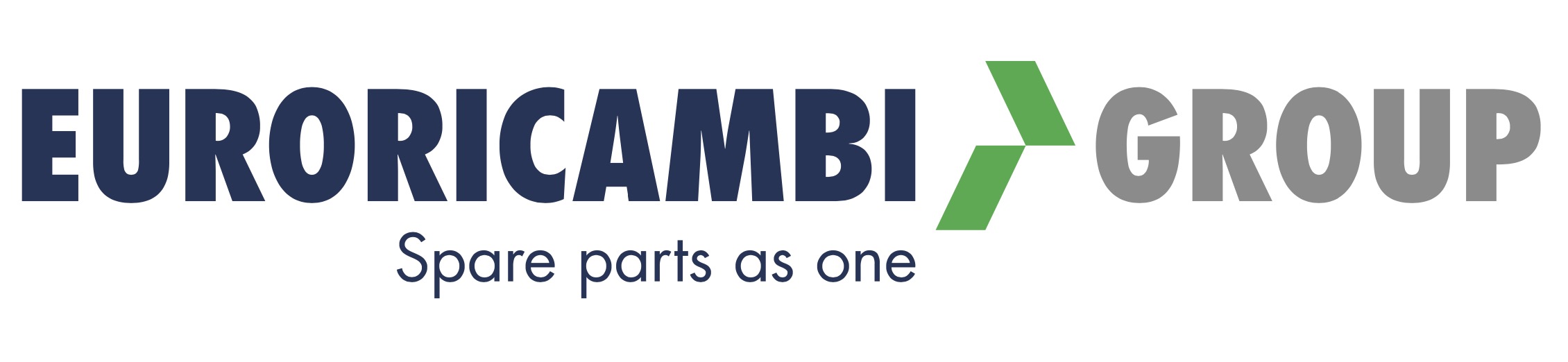 Vertriebspartner Euroricambi Group