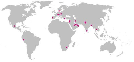 Internationales Vertriebspartnernetz