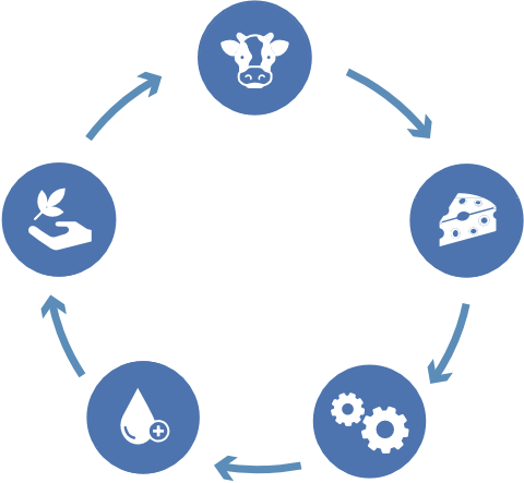 Kreislauffähiges Produktdesign (Cradle to Cradle)