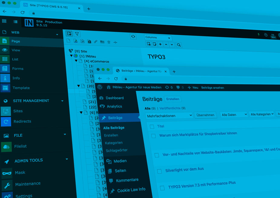 CMS mit TYPO3 und WordPress