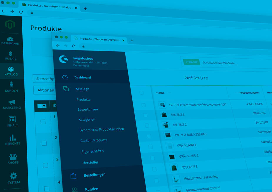 eCommerce mit Magento oder Shopware