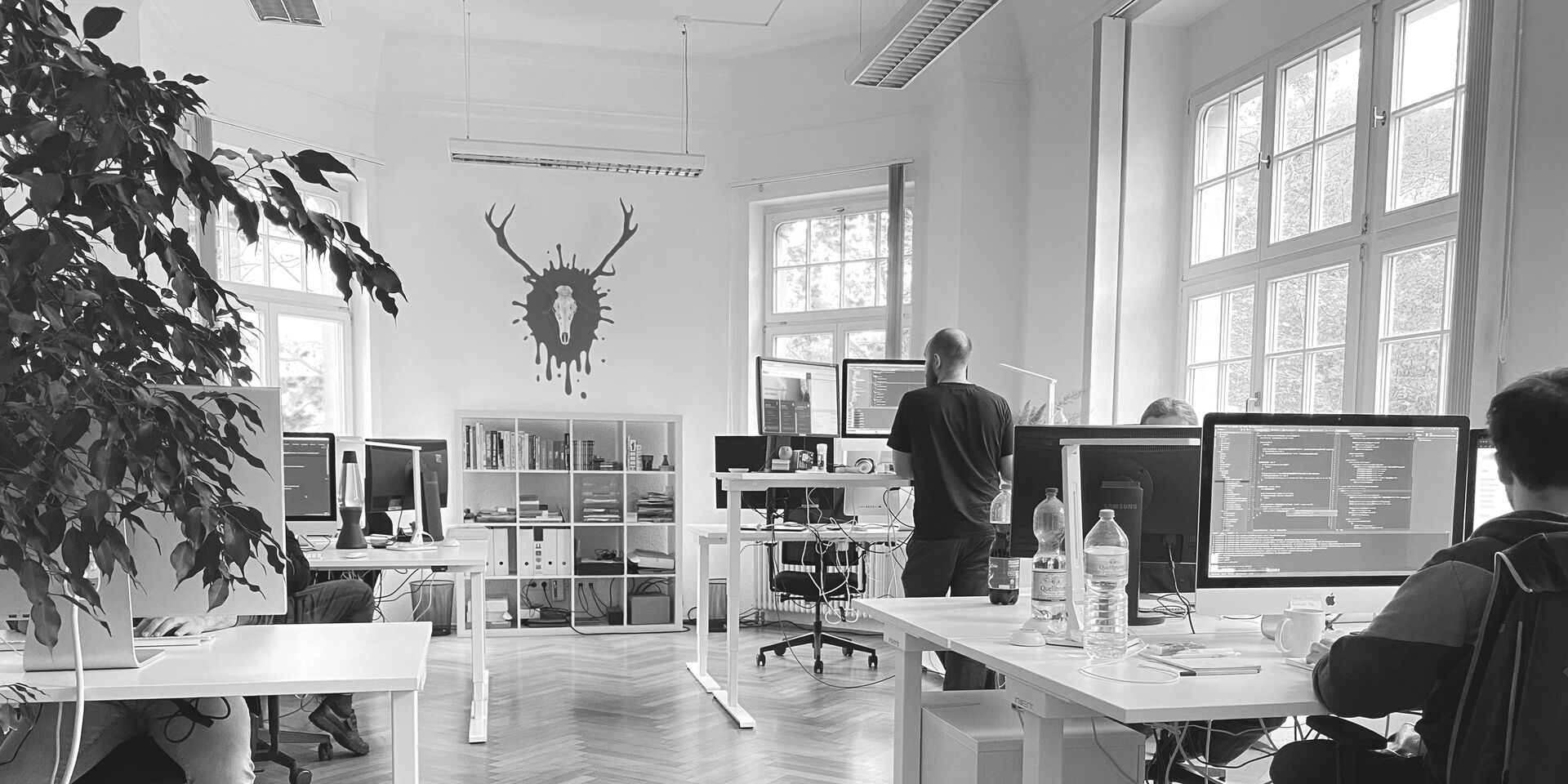 TYPO3- und WordPress-Entwicklung