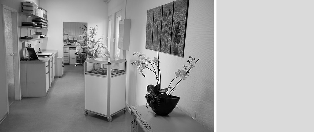 Dental-Studio Blankenfelde-Mahlow
