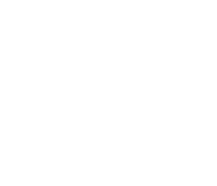 BPM 310 Programmer