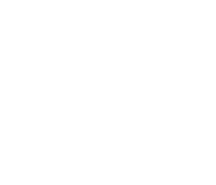 BPM 2900L Programmer