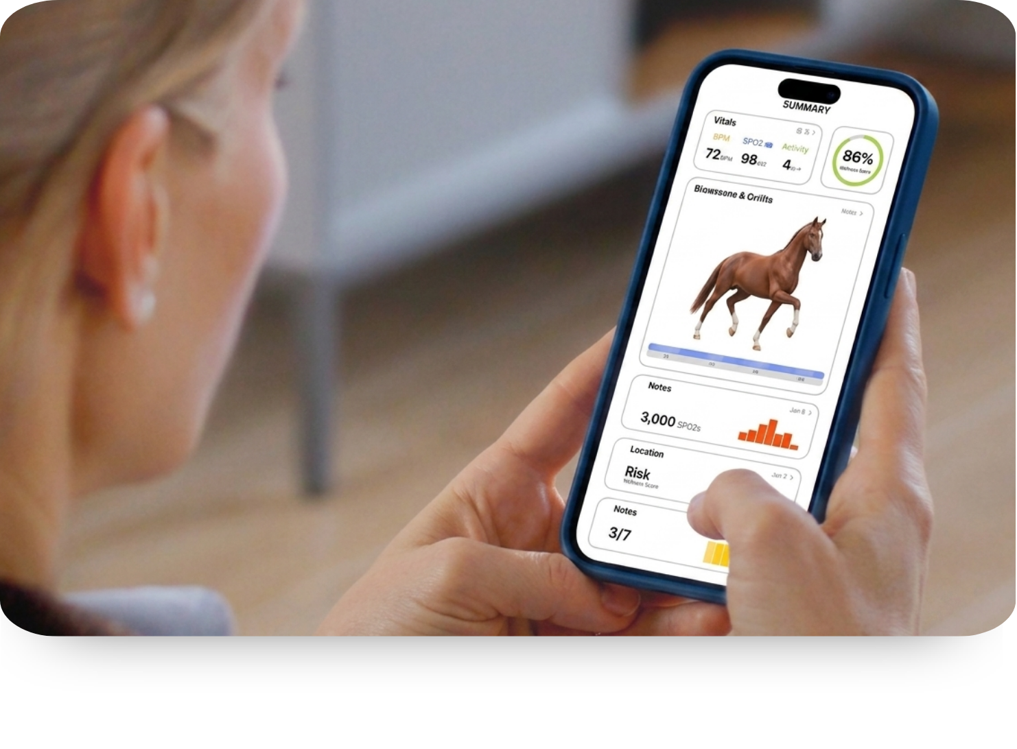 App-Auswertung mit Pferdemodell
