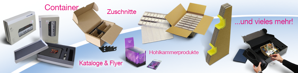 Kartongefach mit Einlage