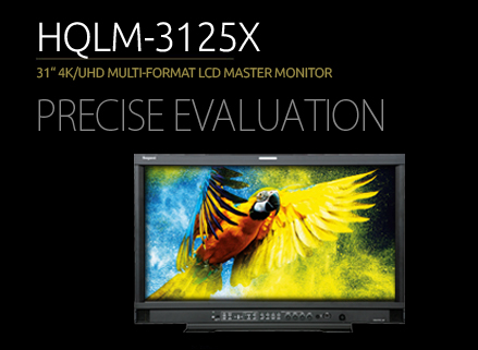 HQLM-3125X Monitor