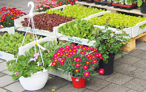 Gartenprodukte & Werkzeuge