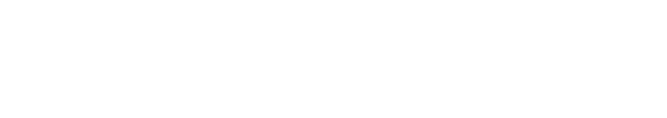 EAS-Artikelsicherung