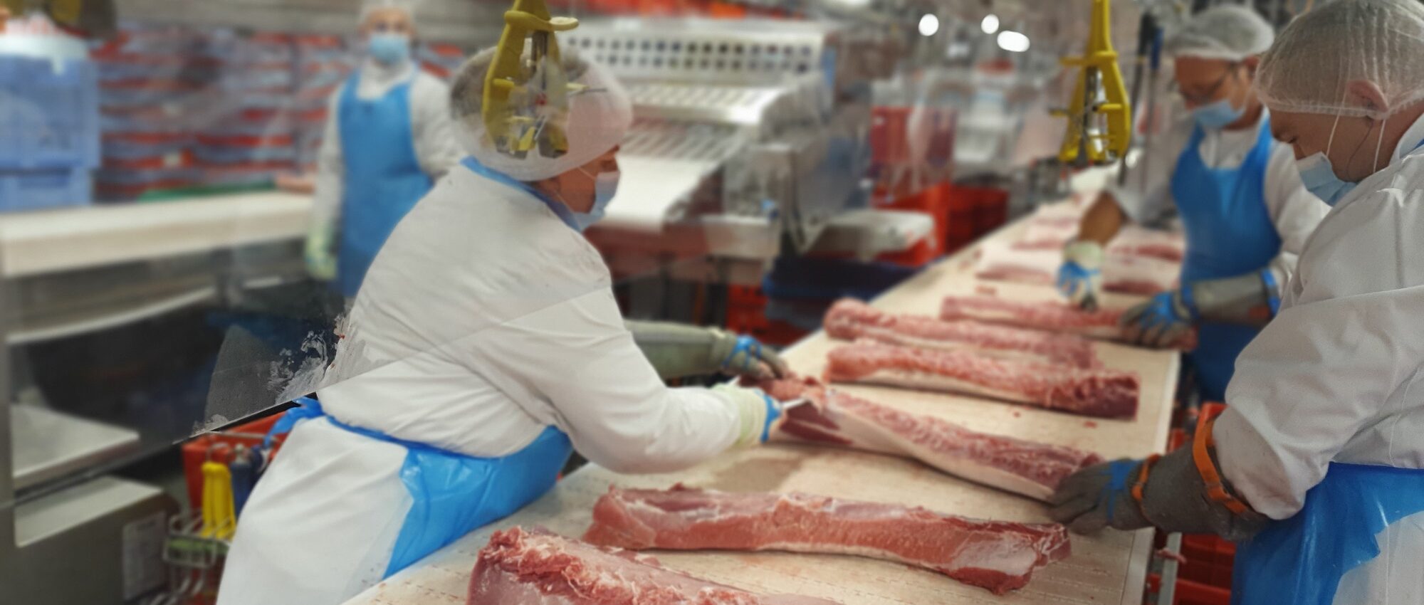 Zerlegte Schweineteilstücke