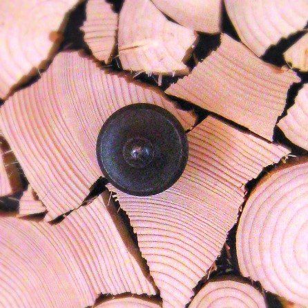 Schrank in Zirbe