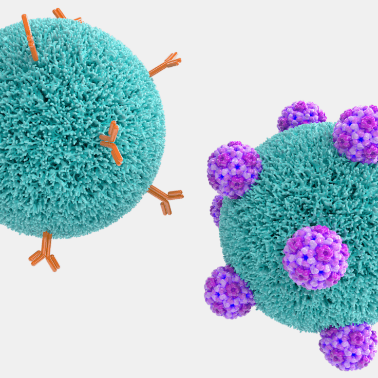 HemoBeads (magnetische Nanopartikel)