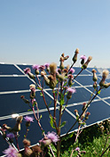 Solarpark Wilmersdorf: induktive Kompensationsanlage 325 kvar