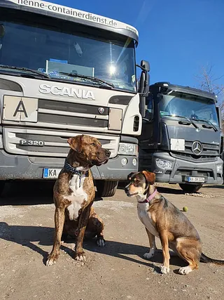 Wachpersonal Mila und Shorty
