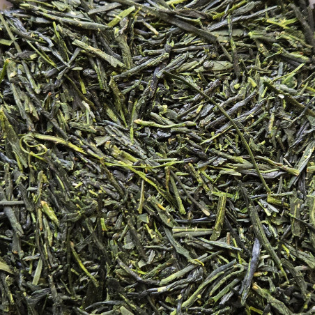 Sencha n°2 Fukamushi Yutakamidori, Kagoshima