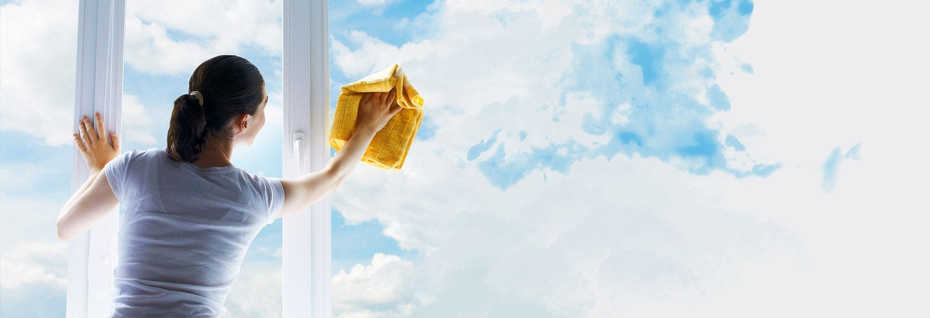 Glass and window cleaning