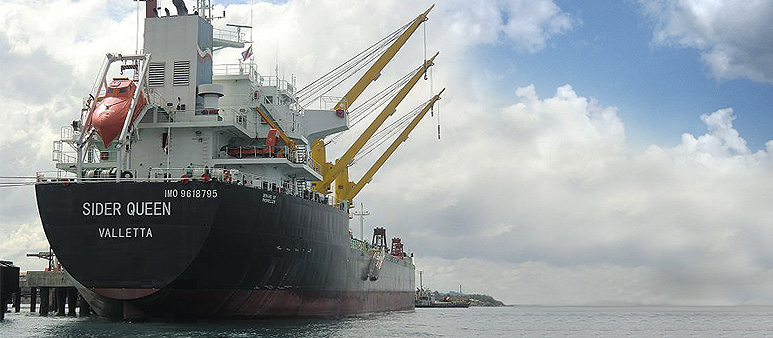 Schiffsbeladung im internationalen Kohletransport