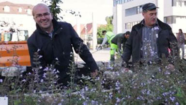 film-webfabrik – Fertigung