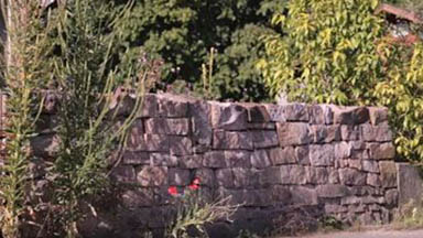 Trailer „Faszination Naturgarten“