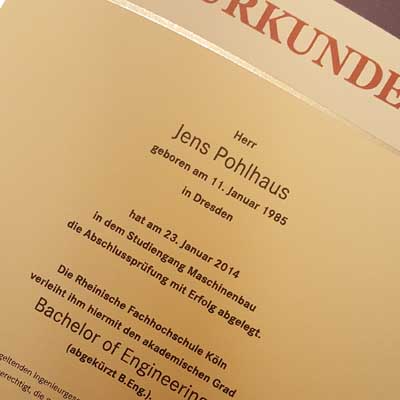 Ingenieur im Team