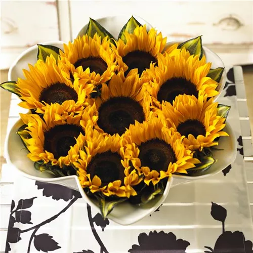 Herbstblumen