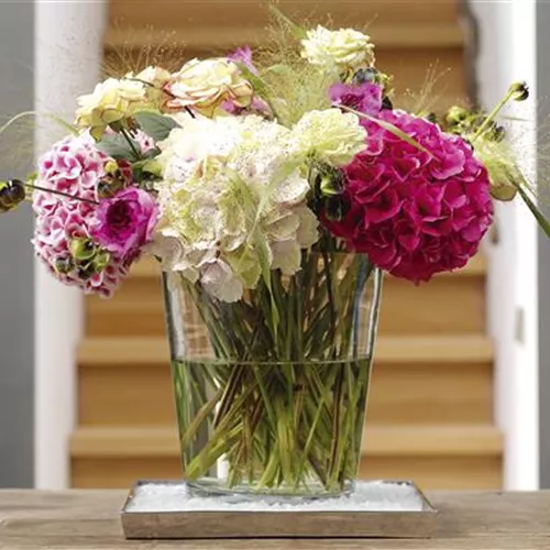 Tipps zur Haltbarkeit von Blumensträußen