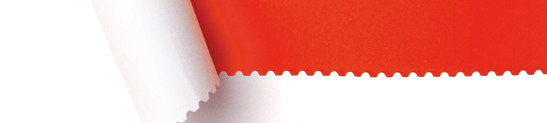 Stanz- und Perforationssysteme für Inline-Weiterverarbeitung