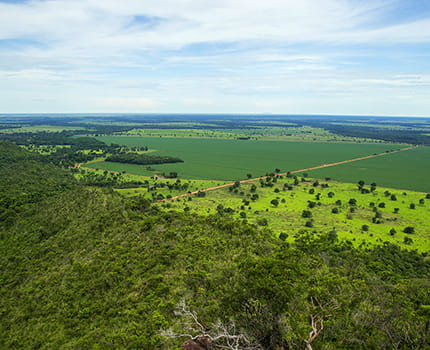 Agrarlandschaft