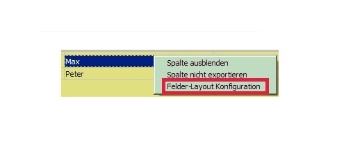 Felder-Anpassungen / Spaltenanzeige