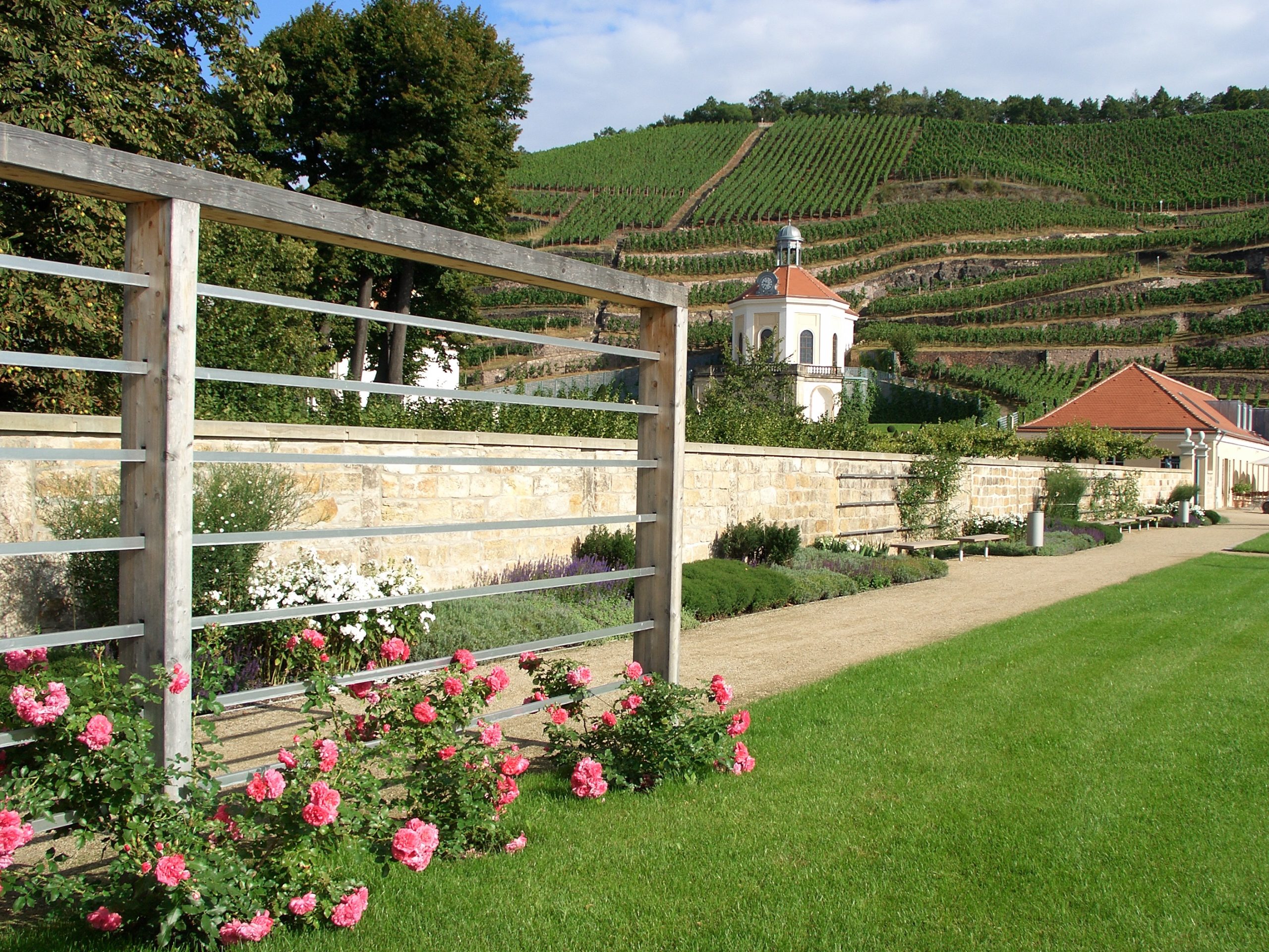 Vineyard terraces with sandstone elements