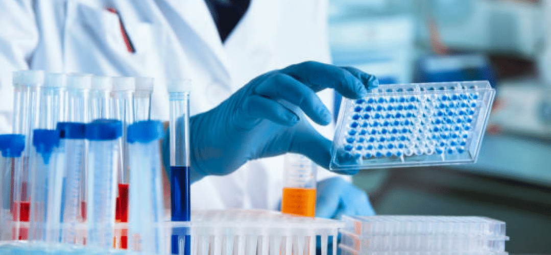 Zusammenarbeit mit Biomat