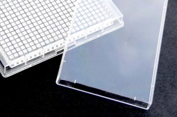Poly-D-Lysin-beschichtete 384-Well-Plate