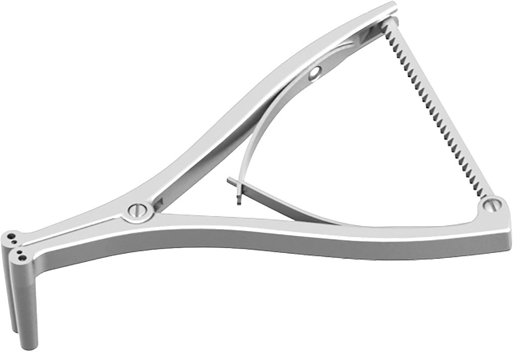 Hintermann Small Standard
