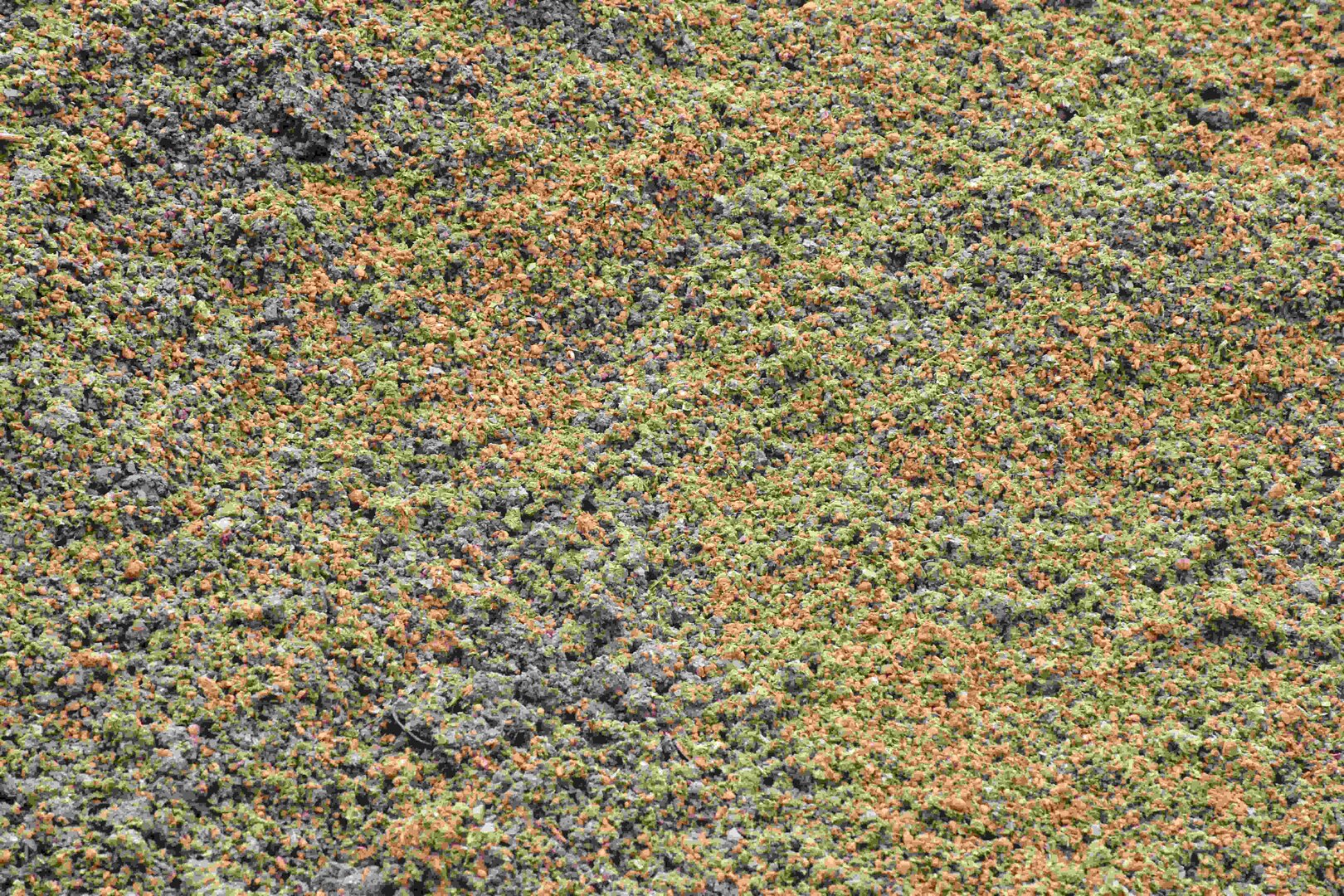 Cleanmount-Wägemodul in Edelstahl