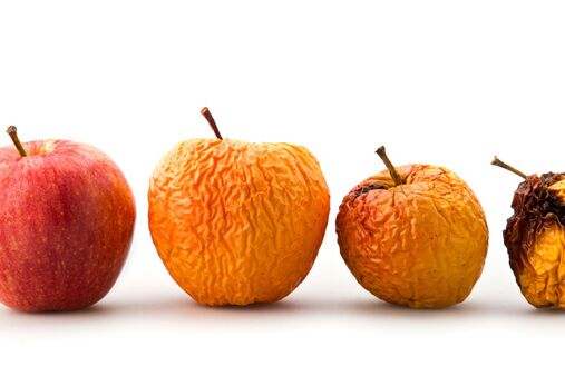 Shelf-Life-Bestimmung (Lagerstabilität)