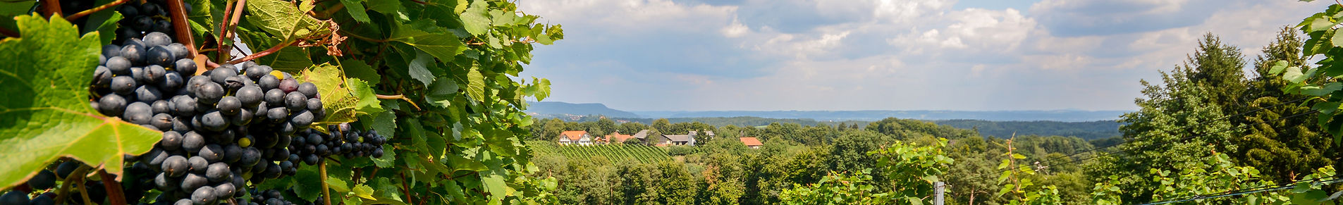 Anlagen und Maschinen