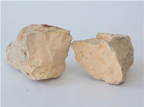 Bleicherde