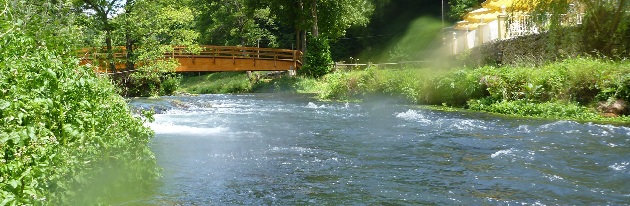 Paddeln auf der Wiesent