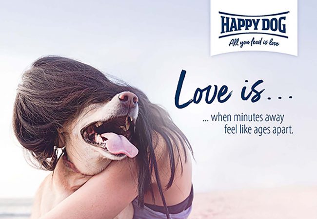 Keyvisual Happy Pet